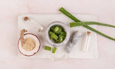 Kaplıca ve güzellik. Aloe vera, deniz tuzu ve beyaz arka planda el yapımı hindistan cevizi sabunu görünümlü doğal kozmetik ürünleri.