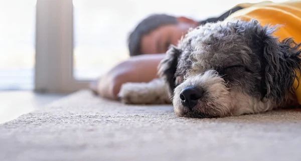 Joven durmiendo con su perro en el suelo — Foto de Stock