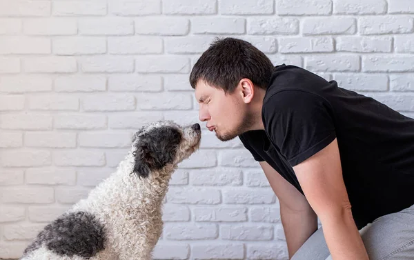 Joven hombre divertido besando a su perro bichon frise — Foto de Stock