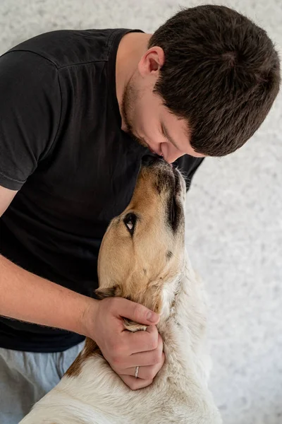Stay home. Pet care. Man kissing his shepherd dog