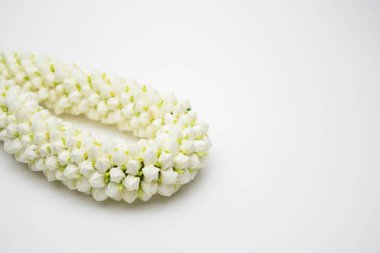 Beyaz arka plan üzerinde Yasemin garland