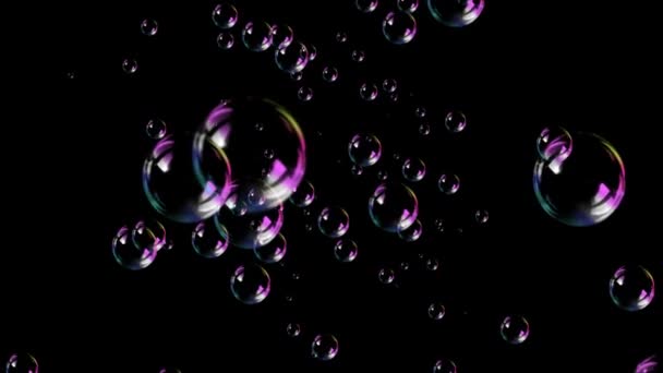 Bulles de savon 4K — Video