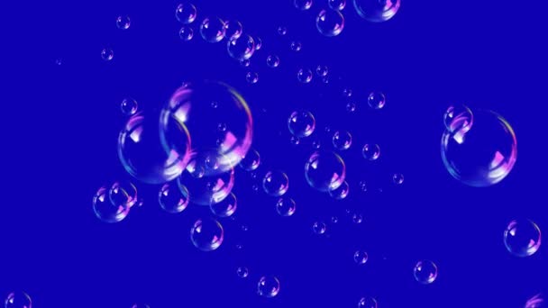 Bulles de savon 4K — Video