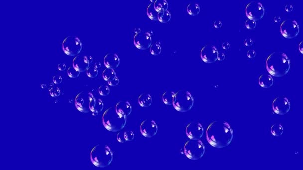 Bulles de savon 4K — Video