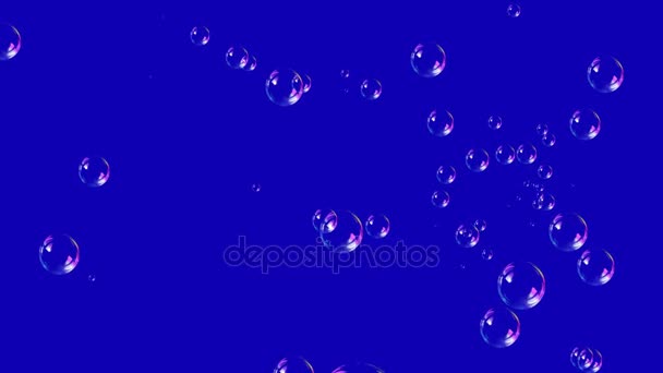Мыльные пузыри 4K — стоковое видео