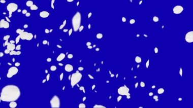 4 k kiraz yaprakları düşüyor