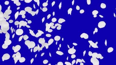 4 k kiraz yaprakları düşüyor