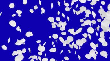 4 k kiraz yaprakları düşüyor