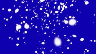 4 k kiraz yaprakları düşüyor