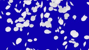 4 k kiraz yaprakları düşüyor