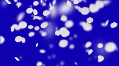 4 k kiraz yaprakları düşüyor