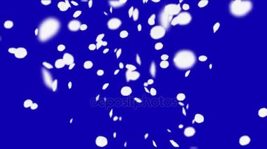 4 k kiraz yaprakları düşüyor