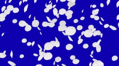 4 k kiraz yaprakları düşüyor