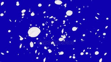 4 k kiraz yaprakları düşüyor