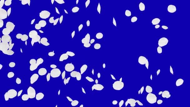 4 k 落ちる桜の花びら — ストック動画