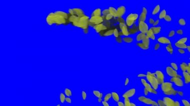 4 k düşen yaprakları