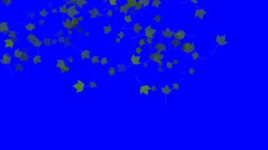 4 k düşen yaprakları