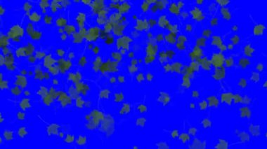 4 k düşen yaprakları