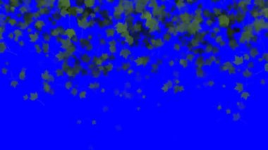 4 k düşen yaprakları