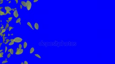 4 k düşen yaprakları