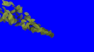 4 k düşen yaprakları