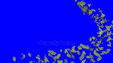 4 k düşen yaprakları