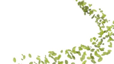 4 k düşen yaprakları