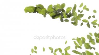 4 k düşen yaprakları