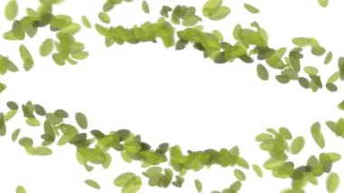 4 k düşen yaprakları