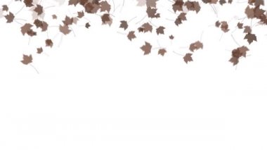 4 k düşen yaprakları