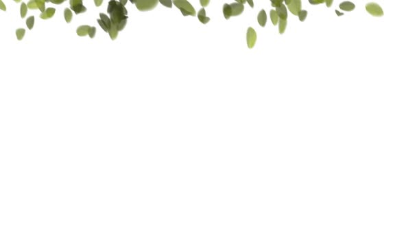 Feuilles tombantes 4K 