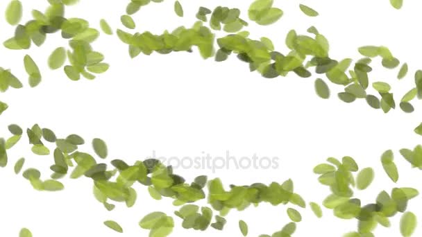 4K Падающие листья — стоковое видео