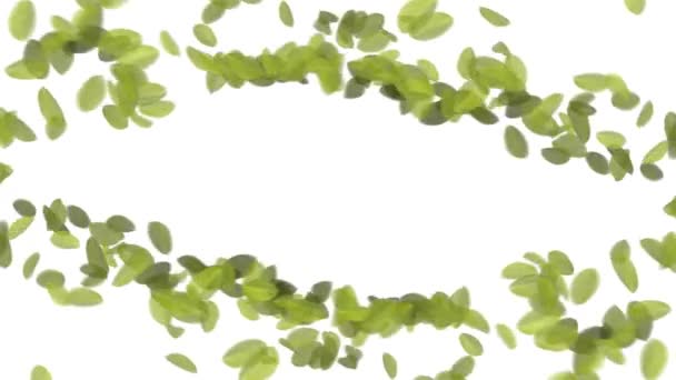 Feuilles tombantes 4K 