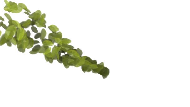 Feuilles tombantes 4K 