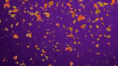 Uçan tatil Cadılar Bayramı arka plan parçacıklar