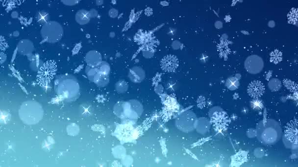 Christmas Snowflakes Falling, Snow Background — Stock Video