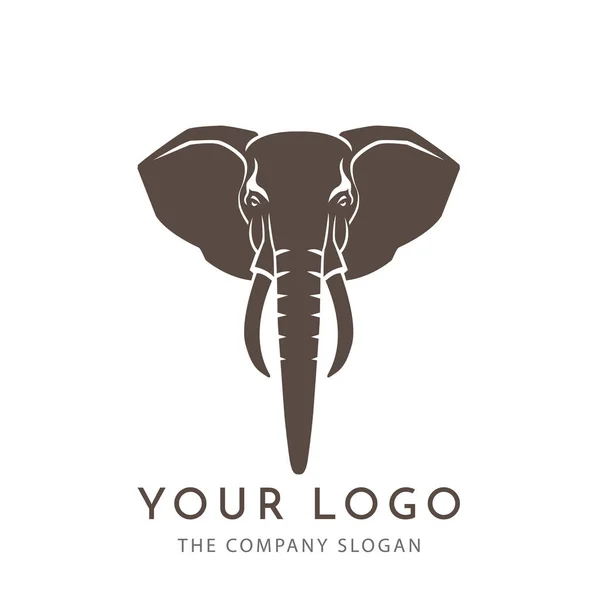 Cabeça elefante logotipo vetor — Vetor de Stock