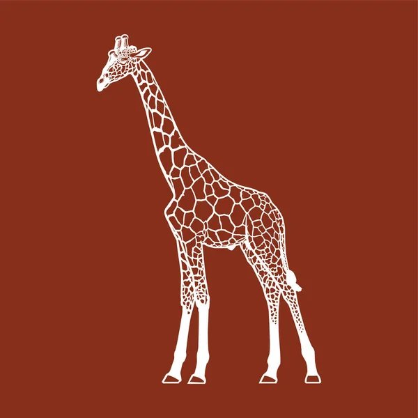Girafe silhouette signe vecteur — Image vectorielle