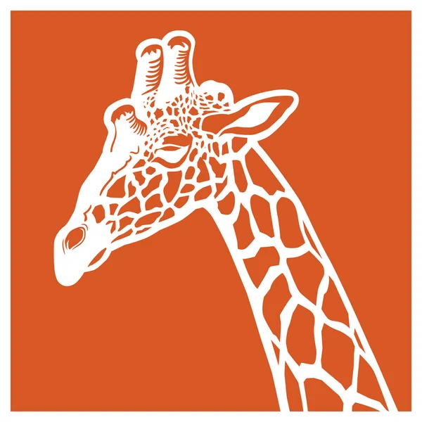Illustration vectorielle portrait girafe — Image vectorielle
