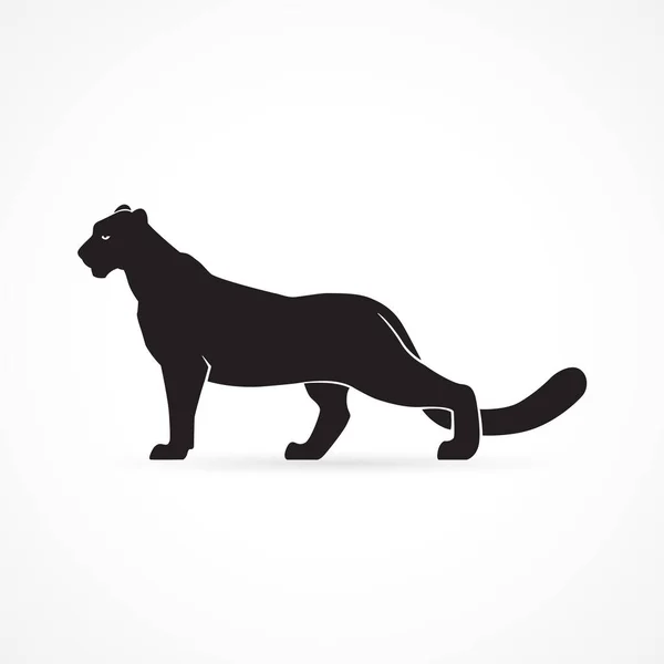 Svart Panther tecken logotyp Stockillustration