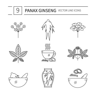 Panax Ginseng kümesi