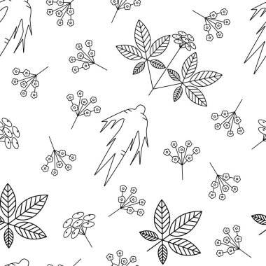 Panax Ginseng ile Seamless Modeli.