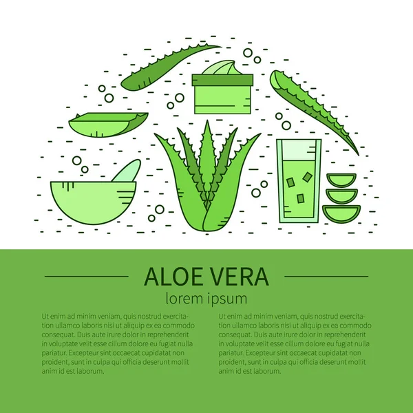 Εικονίδια γραμμής Aloe Vera — Διανυσματικό Αρχείο