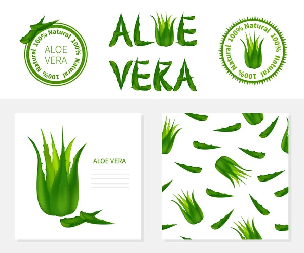 Modello con Aloe Vera, etichette, modello senza cuciture . — Vettoriale Stock