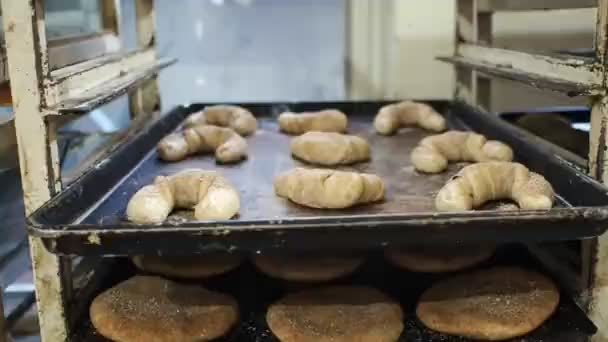 Raw Dough Metal Trays Oven Local Mexican Panaderia Bakery — Stock Video