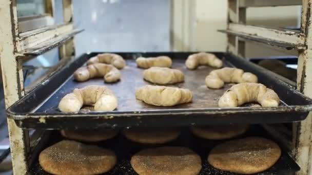 Rauw Deeg Gekookt Brood Metalen Dienbladen Een Lokale Bakkerij Mexico — Stockvideo