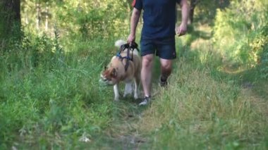 adam walkimg husky ormandaki ile