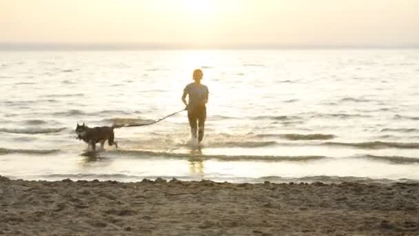 Corredor hembra trotando con perros husky siberianos durante el amanecer en la playa . — Vídeos de Stock