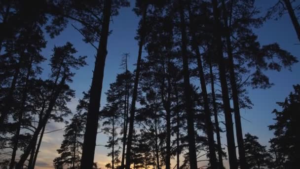 Vista panoramica del fiume che scorre al tramonto — Video Stock