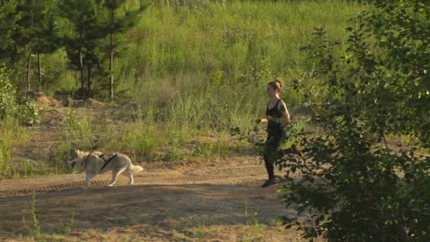 Adatto giovane donna fitness che corre sulla spiaggia con cane husky siberiano durante l'alba o il tramonto — Video Stock